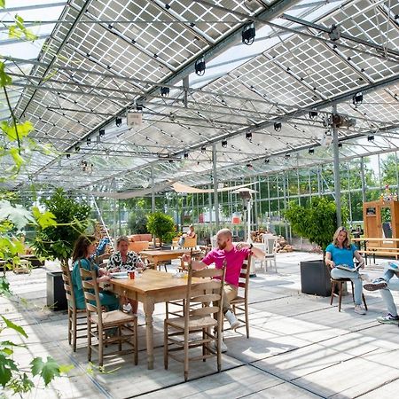 Achterhoeks Goed, Bed & Breakfast In Vragender Eksteriør bilde