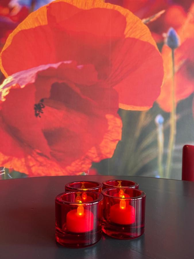 Achterhoeks Goed, Bed & Breakfast In Vragender Eksteriør bilde